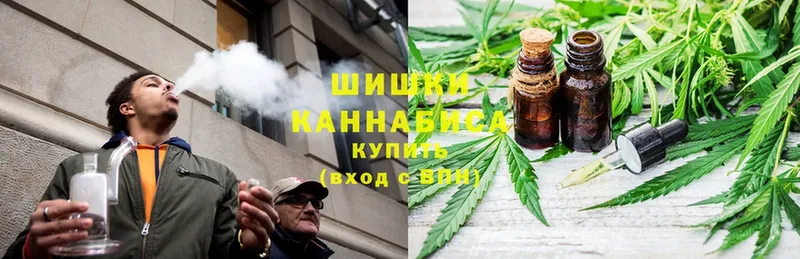 Сколько стоит Чехов Амфетамин  hydra ссылки  Псилоцибиновые грибы  Кокаин  Канабис  Гашиш 